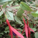 Picasa 2.7